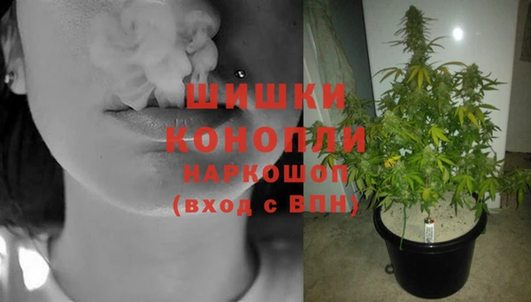 2c-b Козельск