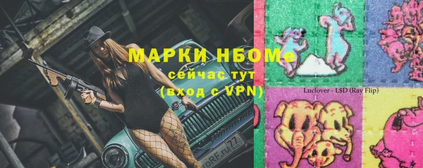 стафф Кодинск