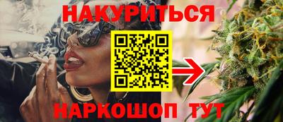 прущие крисы Камышлов