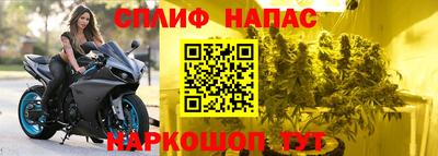 прущие крисы Камышлов