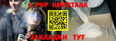 прущие крисы Камышлов
