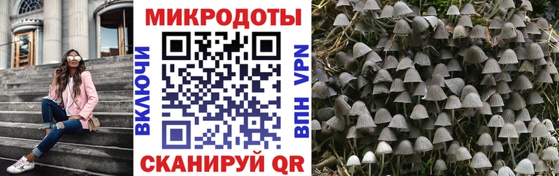 Псилоцибиновые грибы прущие грибы  блэк спрут ссылки  Кушва 