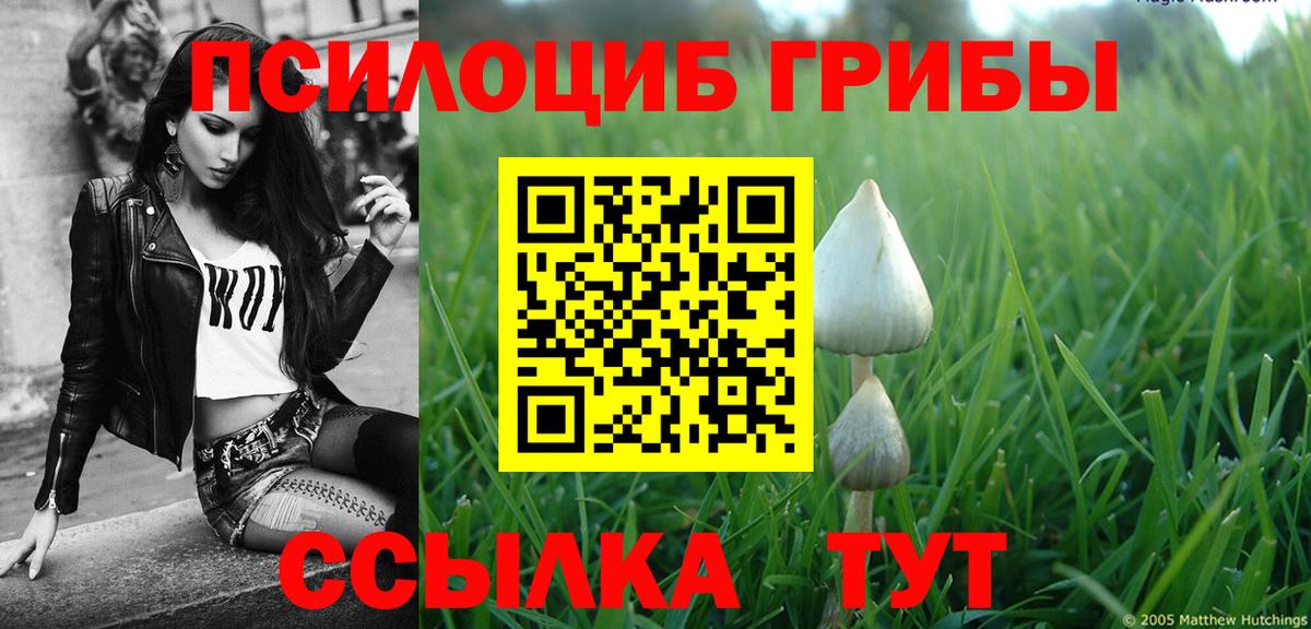 Псилоцибиновые грибы прущие грибы Кушва