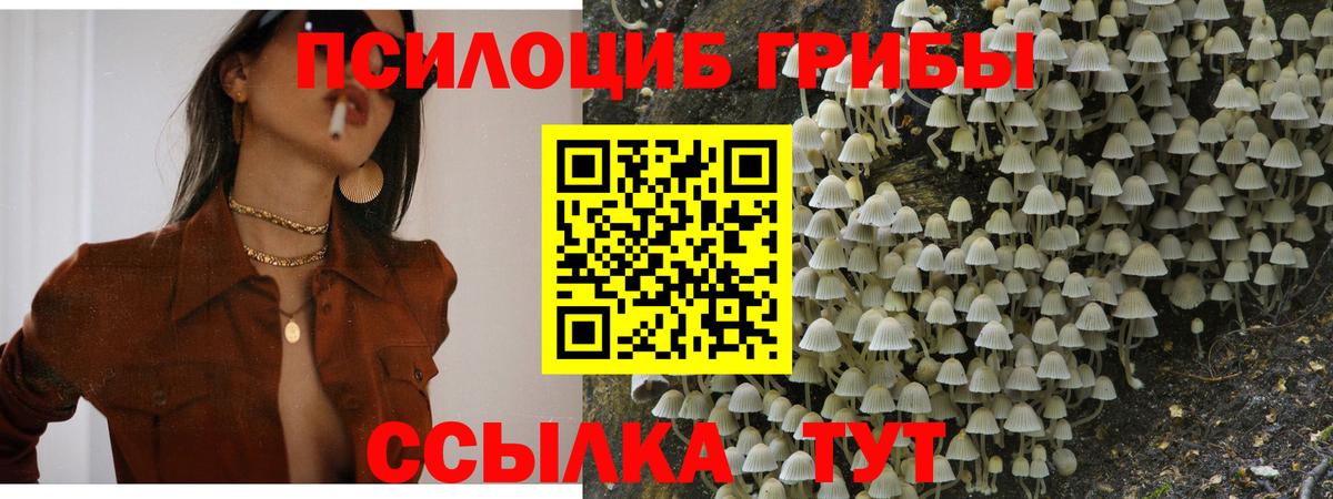 купить  цена  Псилоцибиновые грибы Magic Shrooms  Кушва  Вход с VPN  Галлюциногенные грибы мухоморы 